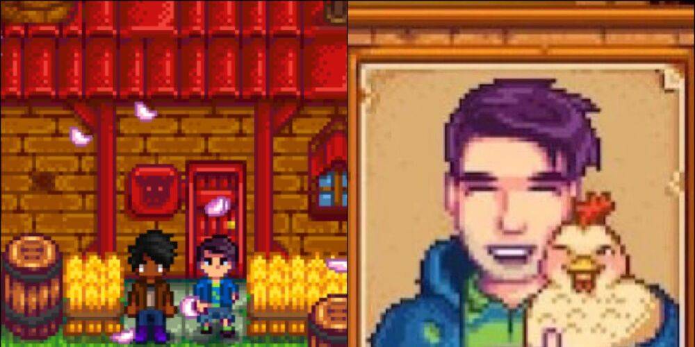 Stardew Valley: Shane Guide